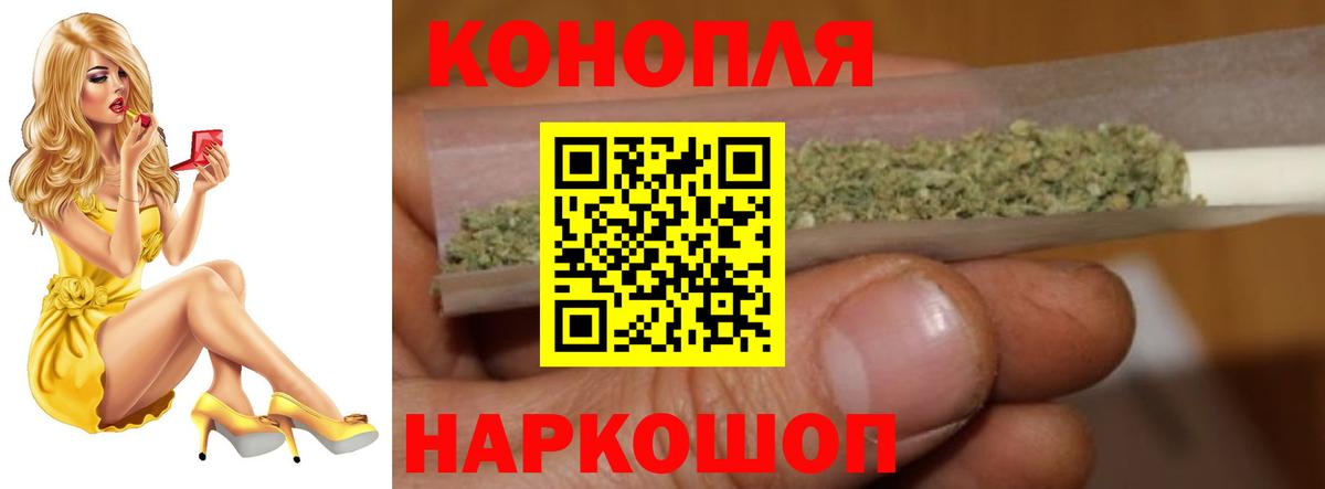 Бошки Шишки семена Хасавюрт